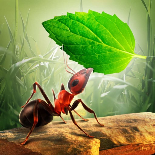Little Ant Colony - Idle Game 图标