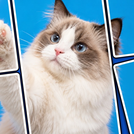 JigCanvas Drop: Jigsaw Puzzle 图标